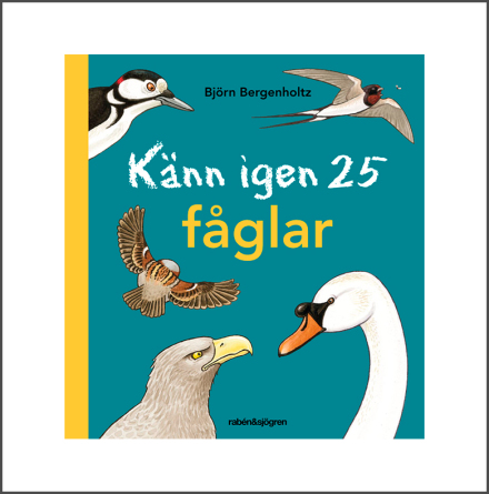 Knn igen 25 fglar